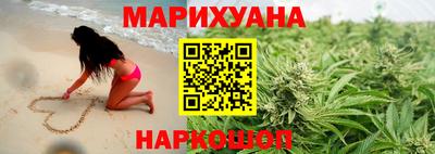 сатива Краснознаменск