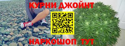 сатива Краснознаменск