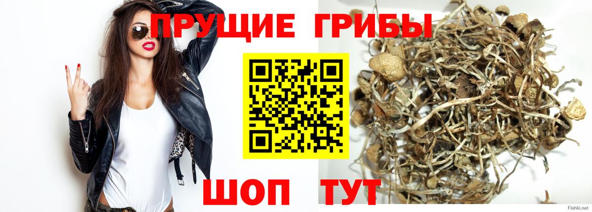даркнет сайт  Вход с VPN  Воркута  Псилоцибиновые грибы прущие грибы  Псилоцибиновые грибы прущие грибы 